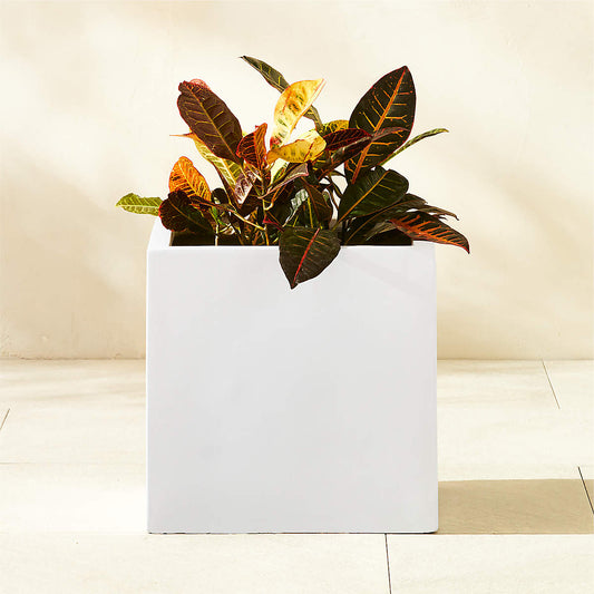 Ash White Cement Indoor/Outdoor Planters