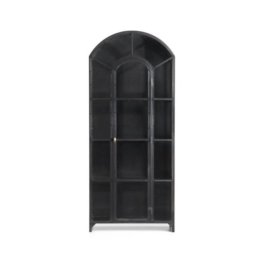 Ventana Black Glass Display Storage Cabinet