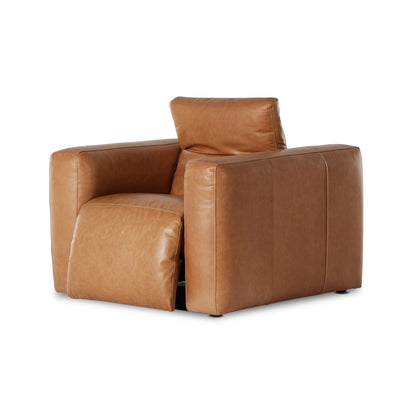 Delevan Power Recliner