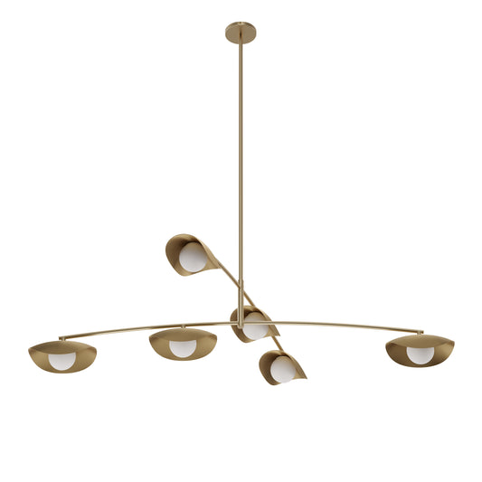 Coy Brass Chandelier